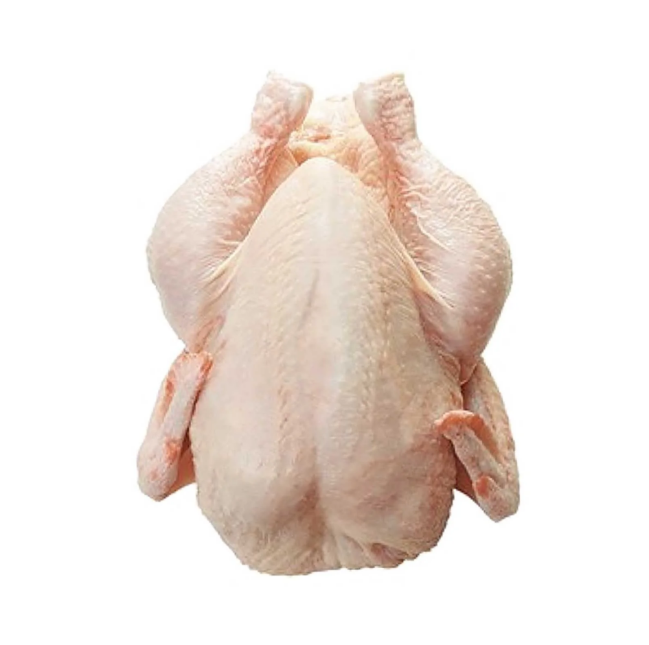 Poultry