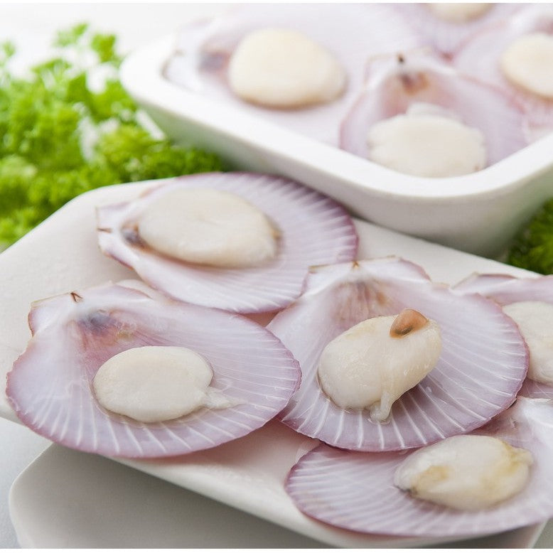 Premium Pink Half Shell Scallop Frozen 500g (30-40pc)
