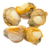 Premium Boiled Scallop Hotate | Halal (KHINZIR BEBAS) | 1kg Pack