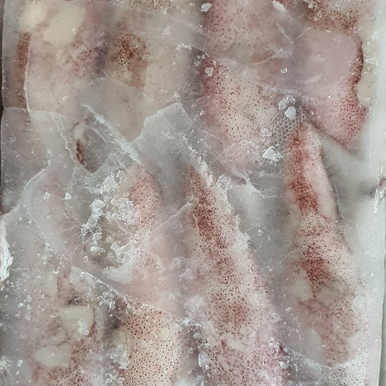 2Kg Premium Frozen Squid Uncleaned Sotong Besar (Size 3/6, 8-12 pcs)