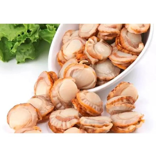 Premium Boiled Scallop Hotate | Halal (KHINZIR BEBAS) | 1kg Pack