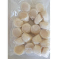 Premium Frozen Japanese Scallop Meat Halal