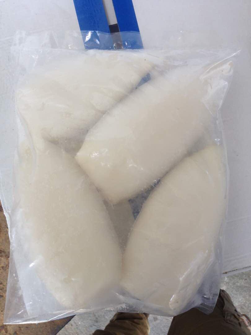 Premium IQF Squid Tube Clean 1kg | Frozen Halal