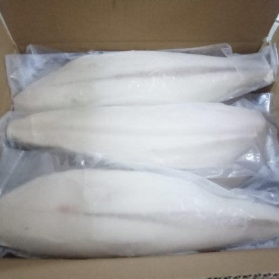 Premium Sashimi Butterfish Fillet (Managatsuo) 1kg± | Nigiri Sushi Grade Frozen