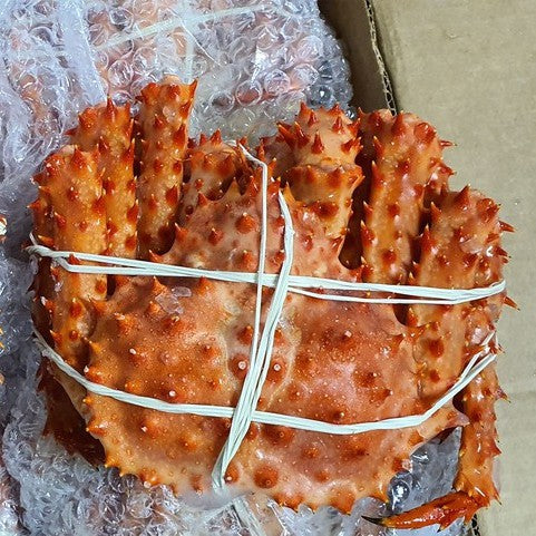 Premium Frozen King Crab Alaskan | KETAM BESAR | Halal (KHINZIR BEBAS)
