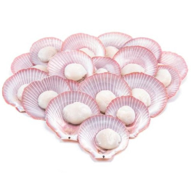 Premium Pink Half Shell Scallop Frozen 500g (30-40pc)