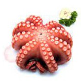 Premium Whole Cooked Giant Octopus Ni Tako 2kg± | Frozen Boiled Octopus Japan