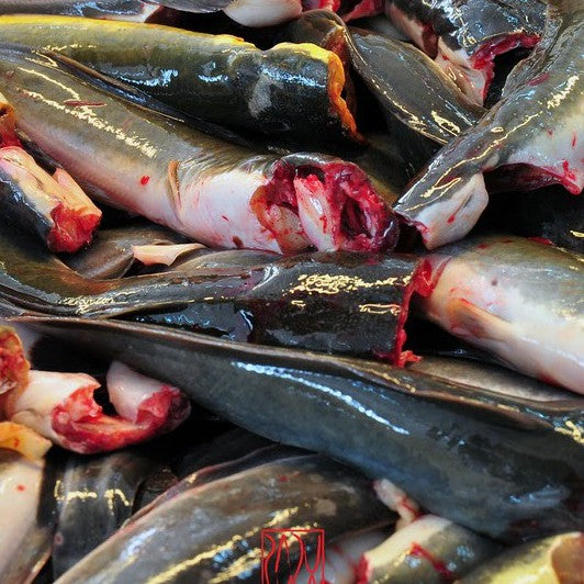 Premium Frozen Ikan Keli 2Kg± | 8-10pcs | 1 Block | Cleaned Catfish