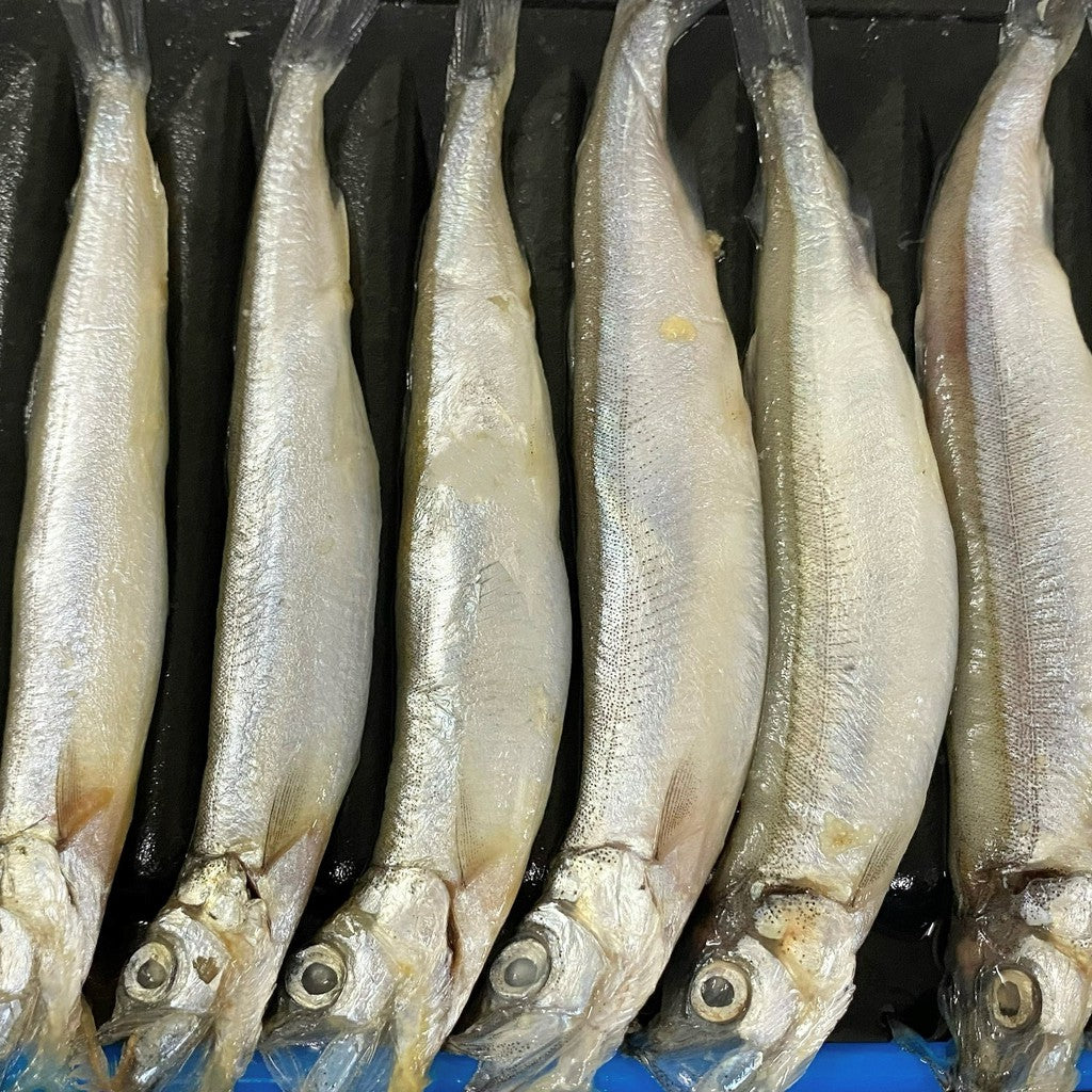 Premium Shishamo Fish (Ikan Capelin) 8pc | 200g Frozen