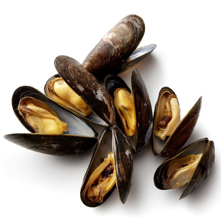 Premium Frozen Whole Blue Mussel / Black Mussel (Kupang) 1Kg± ~35pcs
