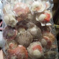 Premium Half Shell Scallop with Roe Frozen 1Kg