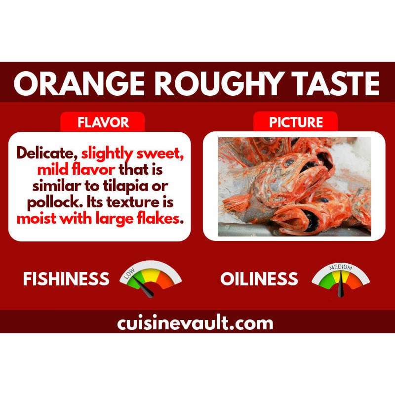 1.2-1.5Kg± New Zealand Premium Frozen Orange Roughy Fish