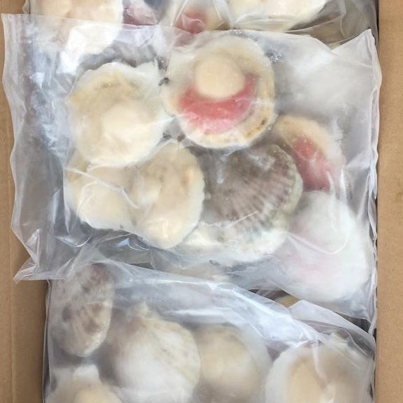 Premium Half Shell Scallop with Roe Frozen 1Kg