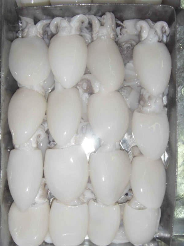 Premium Baby Cuttlefish Cleaned 16pc. 250gm | Frozen Baby Sotong Katak Bersih