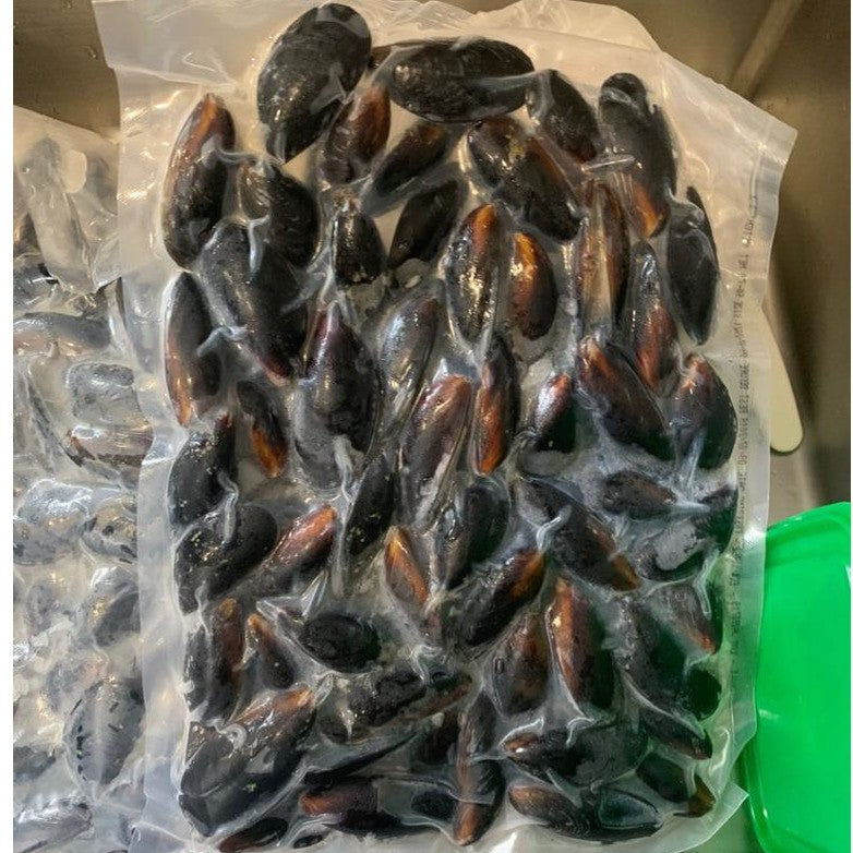 Premium Frozen Whole Blue Mussel / Black Mussel (Kupang) 1Kg± ~35pcs