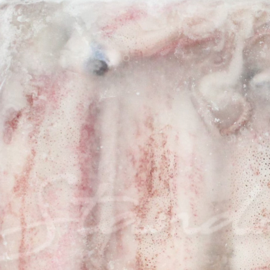2Kg Premium Frozen Squid Uncleaned Sotong Besar (Size 3/6, 8-12 pcs)