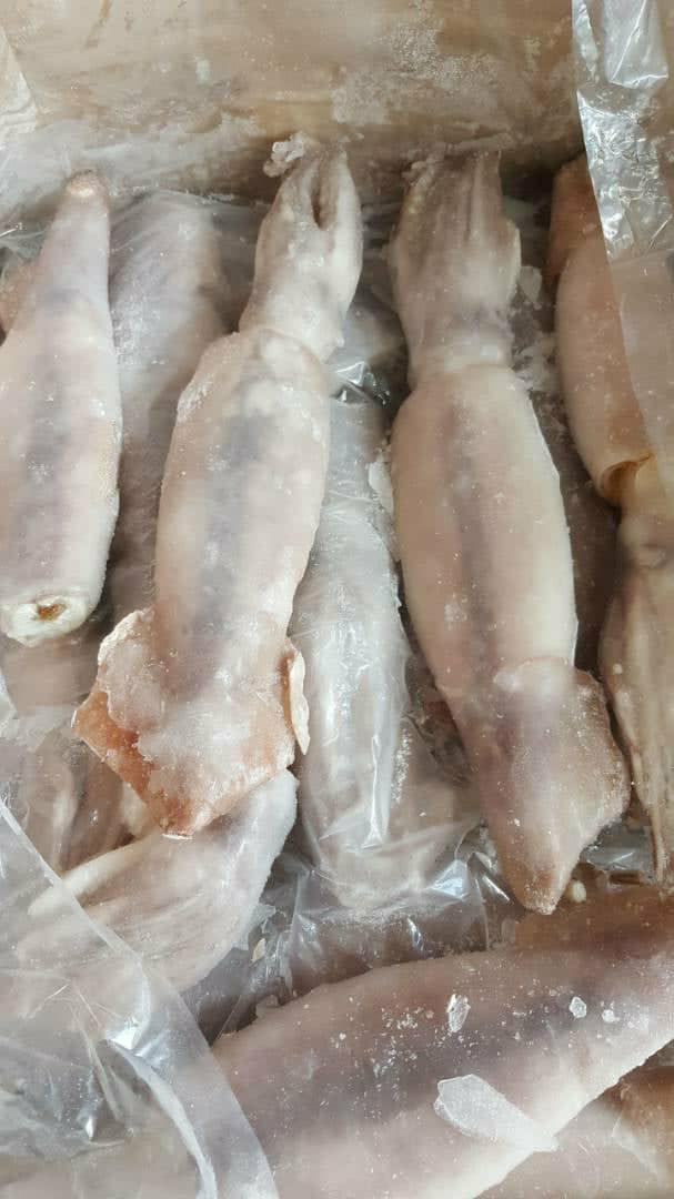 1Kg Premium IQF Frozen Argentina Squid (200/300gm)