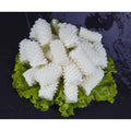 Premium IQF Squid Flower Cut 1kg | Frozen Halal