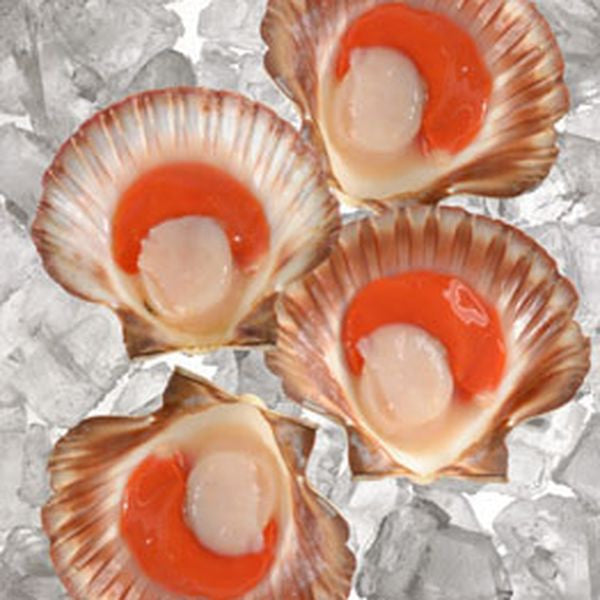 Premium Half Shell Scallop with Roe Frozen 1Kg