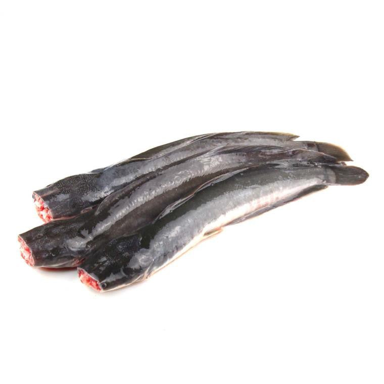 Premium Frozen Ikan Keli 2Kg± | 8-10pcs | 1 Block | Cleaned Catfish
