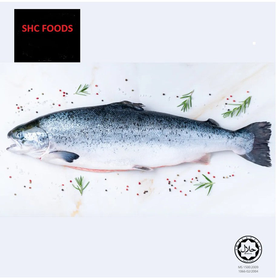 4.5Kg± Premium Fresh Air-Flown Norway Salmon Trout Fillet – Sashimi Grade | Boneless | No Radiation