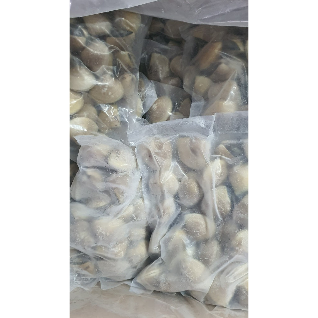 Premium Fresh Frozen White Clam / Kapah Putih (70/90 pcs) 1Kg±