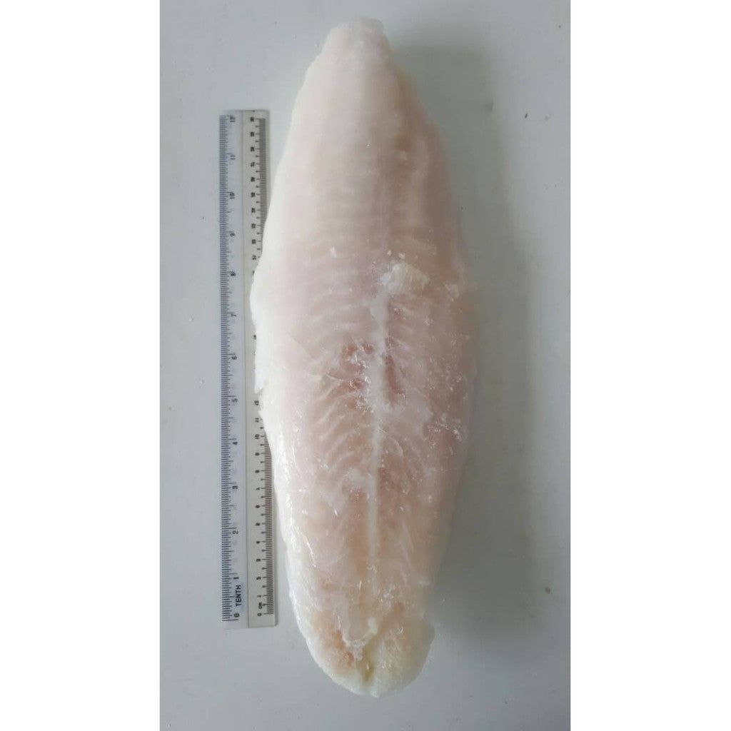 1kg± Premium Sea Perch Fish Fillet (1-2pcs) Frozen | 500g-1kg per Fillet