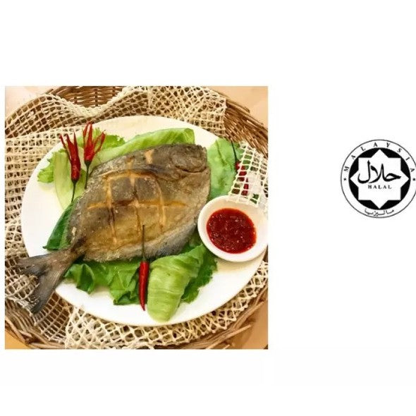 Premium Frozen Black Pomfret Fish (Ikan Bawal Hitam) 2-3pc± 1kg± | Gutted & Descaled Halal