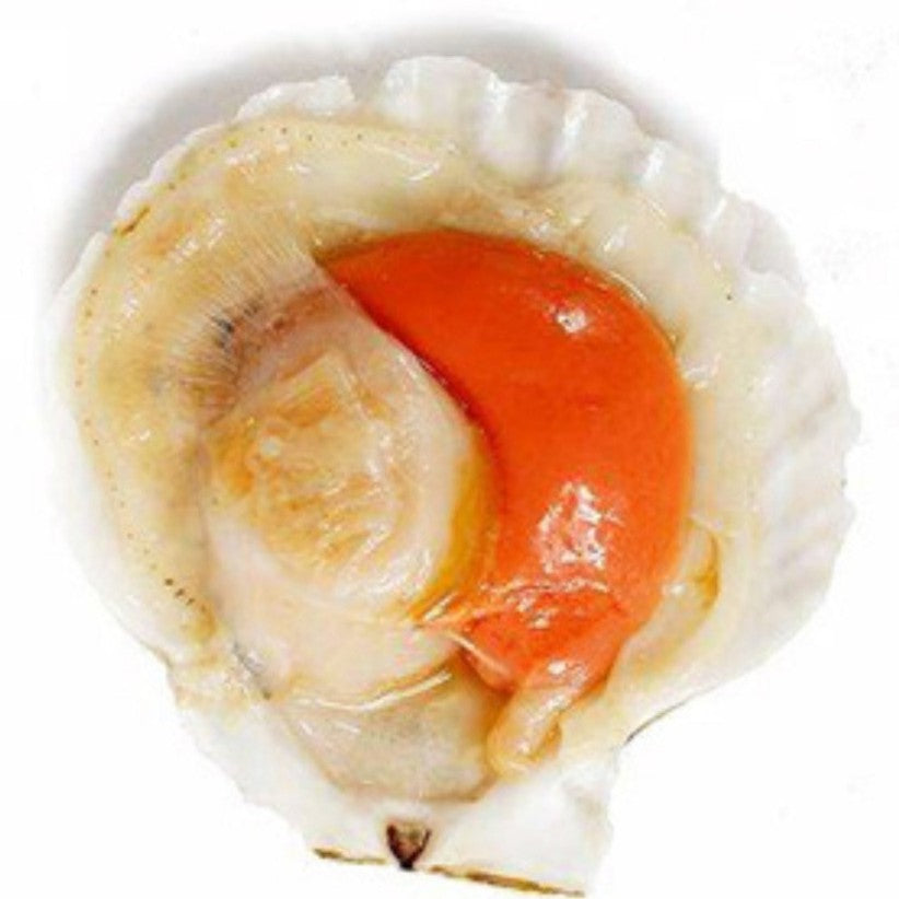 Premium Half Shell Scallop with Roe Frozen 1Kg