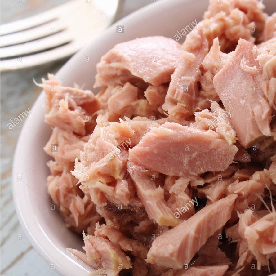 Bumble Bee Premium Tuna Flakes In Soy Bean Oil 1.88kg Halal