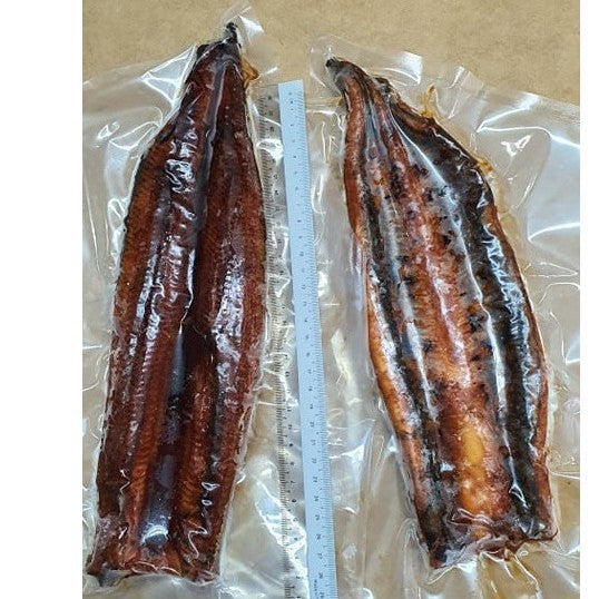 Premium XL Unagi Japan Eel Frozen Marinated Pork Free (200g-350g±)