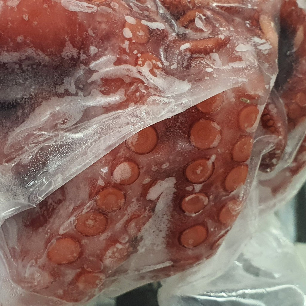 Premium Whole Cooked Giant Octopus Ni Tako 2kg± | Frozen Boiled Octopus Japan
