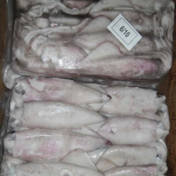 2Kg Premium Frozen Squid Uncleaned Sotong Besar (Size 3/6, 8-12 pcs)