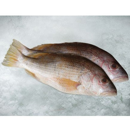 1Kg± pc. Premium Ikan Jenak Golden Snapper Fish Big Size (Cleaned) Frozen Bersih Vacuum