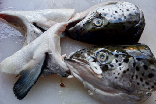 Premium Norway Salmon Head Frozen 400g± Halal