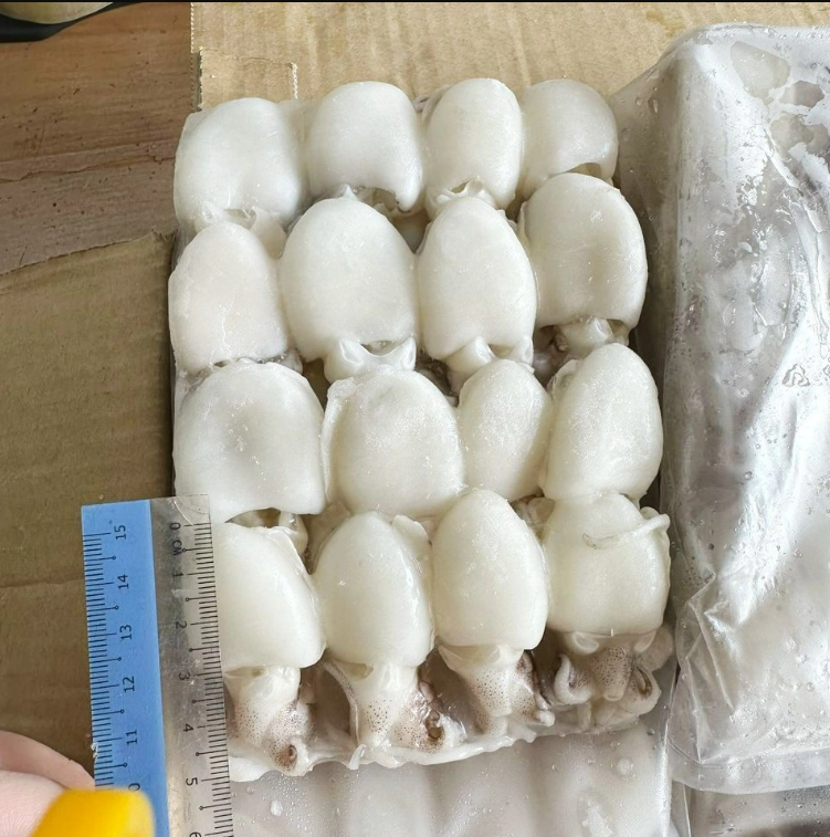 Premium Baby Cuttlefish Cleaned 16pc. 250gm | Frozen Baby Sotong Katak Bersih
