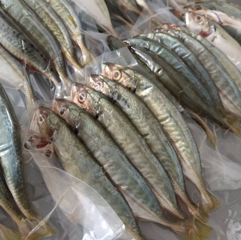 1kg± Premium Ikan Selar Fish (6-10pcs) Cleaned & Gutted Freshly Frozen