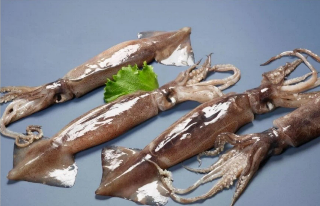 1Kg Premium IQF Frozen Argentina Squid (200/300gm)