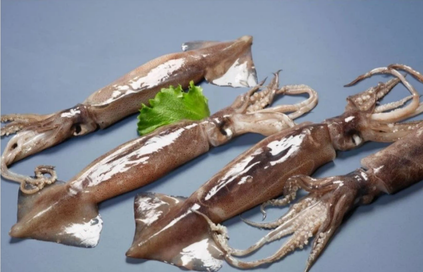 1Kg Premium IQF Frozen Argentina Squid (200/300gm)