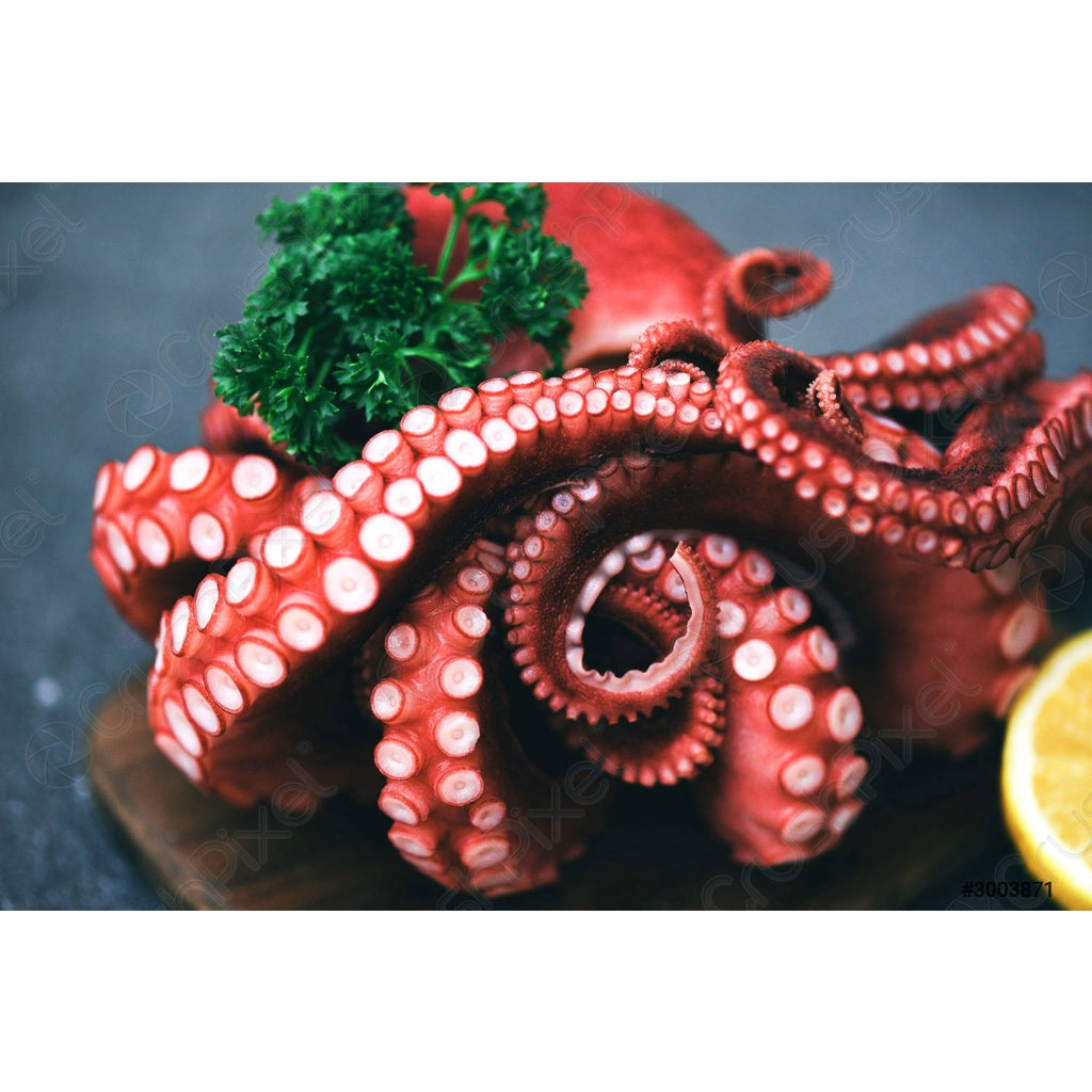 Premium Whole Cooked Giant Octopus Ni Tako 2kg± | Frozen Boiled Octopus Japan