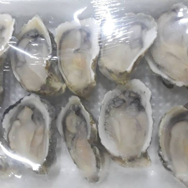 Premium Japan Grade Half Shell Oyster Frozen Sashimi Pack (12pc)