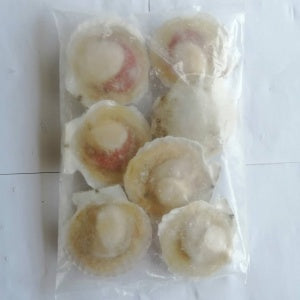 Premium Half Shell Scallop with Roe Frozen 1Kg