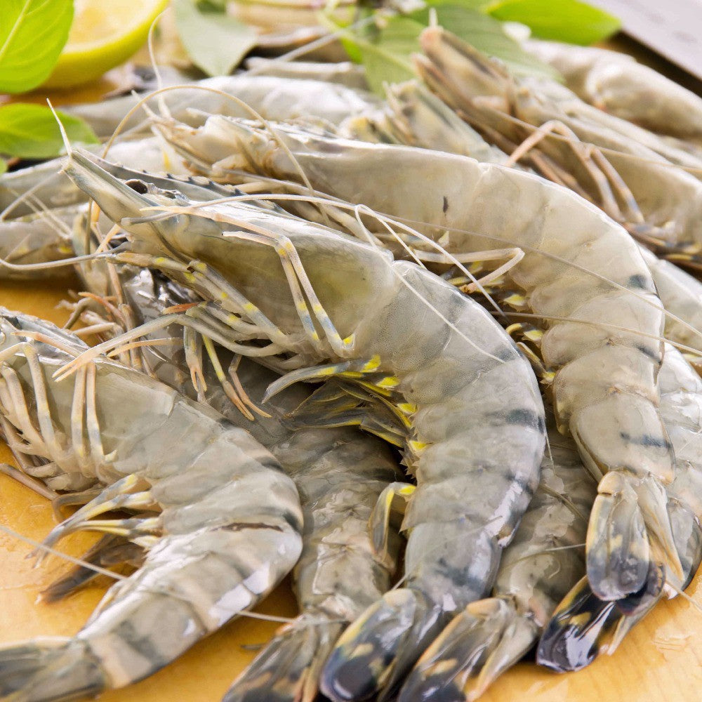 Premium XL Frozen Black Tiger Prawn (Udang Harimau Hitam) 1Kg±