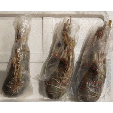 Premium Fresh Local Green Rock Lobster Frozen (700-900g / 1pc)