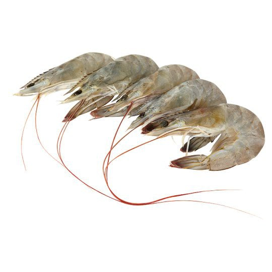 Premium Frozen Vannamei White Prawn (Udang Putih / Udang Bela) 1Kg±