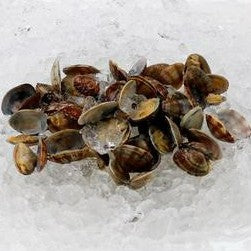 Premium Frozen Boiled Asari Clam 500g (30/40 count)