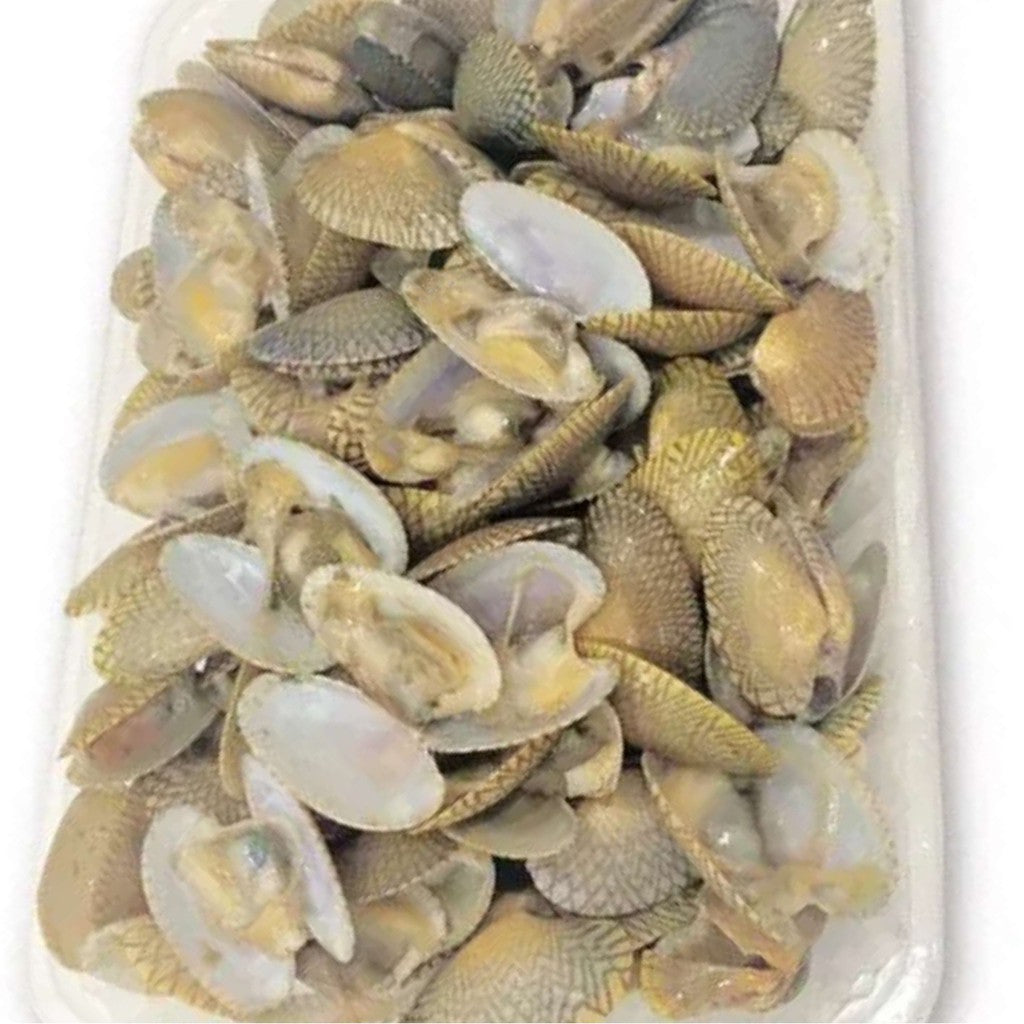 Premium Fresh Frozen Flower Clam / Lala Bunga 1Kg