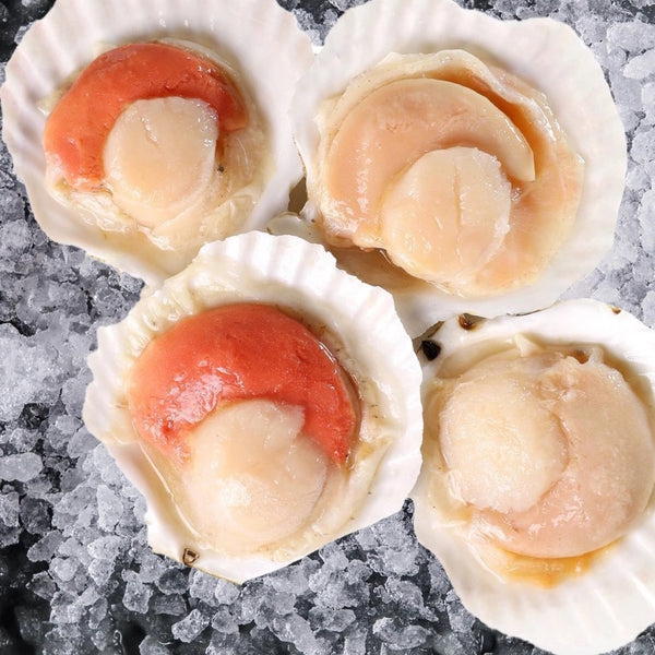 Kekapis Separuh Cengkerang Premium dengan Telur Beku 1Kg