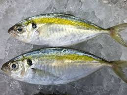 1kg± Premium Ikan Selar Fish (6-10pcs) Cleaned & Gutted Freshly Frozen