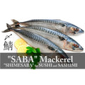 Premium Frozen Saba Mackerel Whole 1KG± – Norway (2pcs, 400–600G/fish)